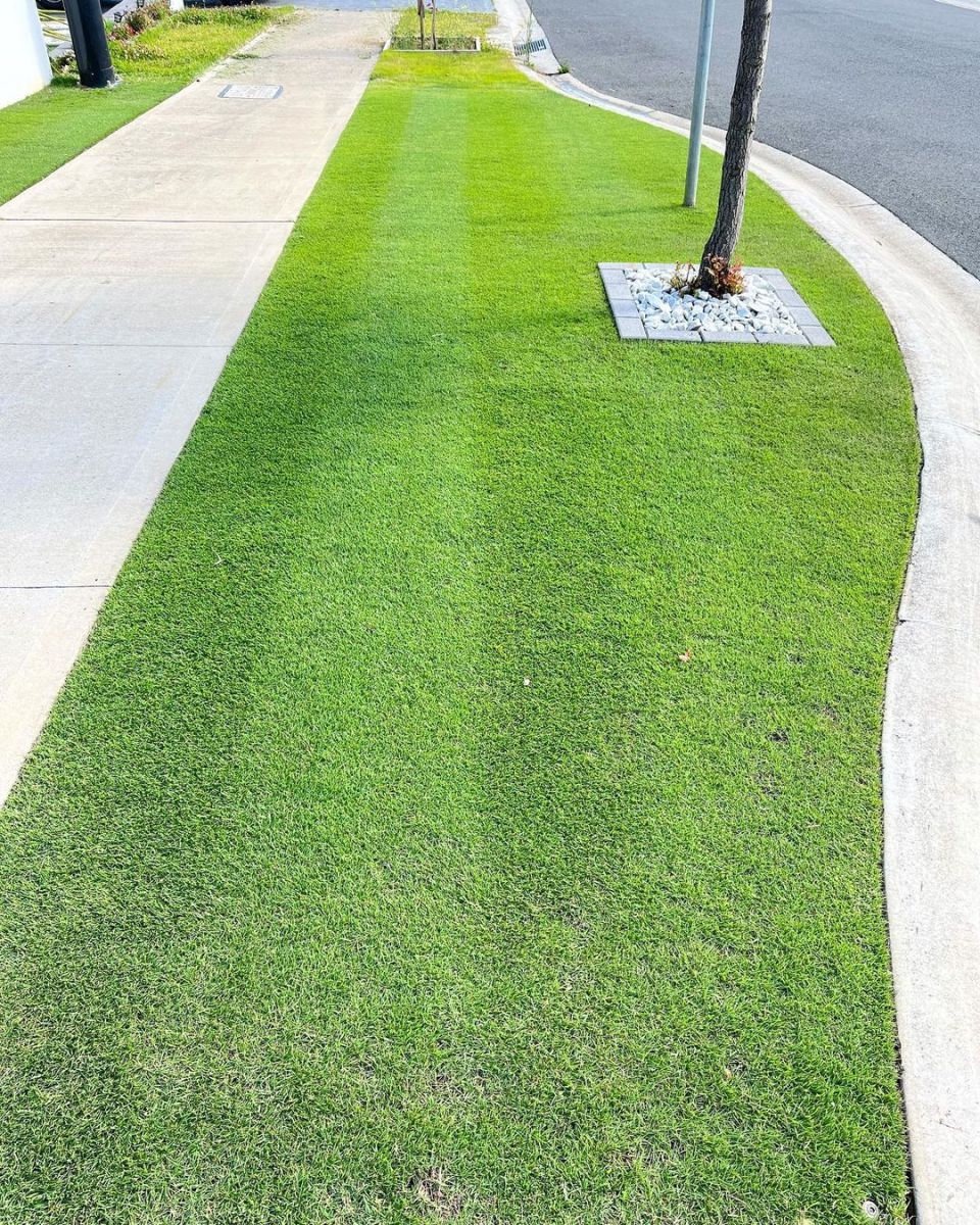 Gallery Lawn perfection!